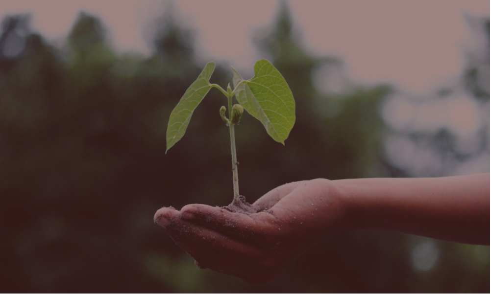 THREE WAYS TO CREATE A SUSTAINABLE EVENT